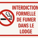 982375C0-5F63-4B41-A82D-CEA5DF1B217F