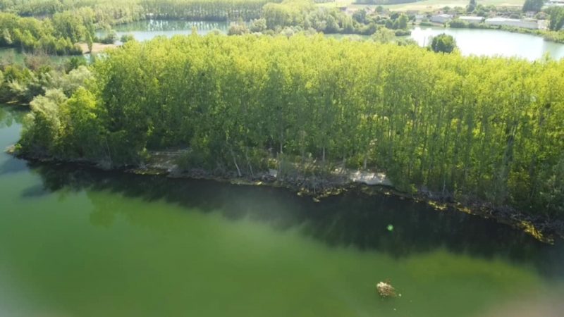 att.3YLq3sMEa8EbxhMsC2qtnEKAVt8y8Gg-WUT4mAshlIc