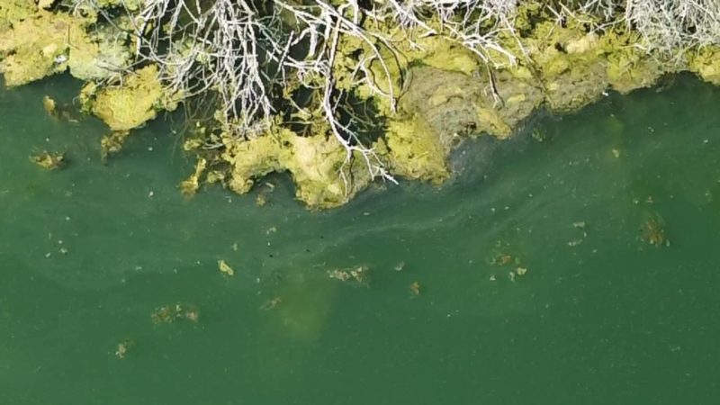 att.zDvcKAXjjviV6AqxZ6VzwxkNmzm2u_gRY6Qc1fZa62o